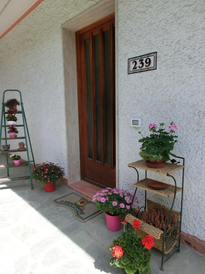 B&B La Palma Camporosso  Exterior photo